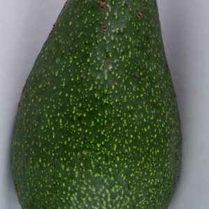 Fuerte