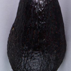 Ulala