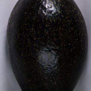 Oro Negro