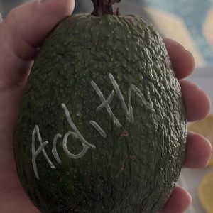 Ardith