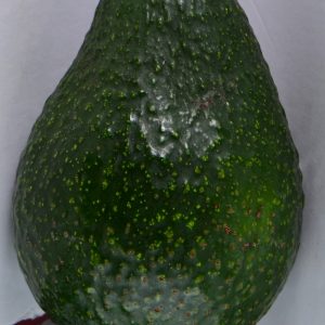 Edranol