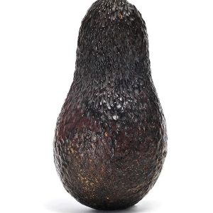 Sir Prize
