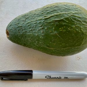 Sharwil